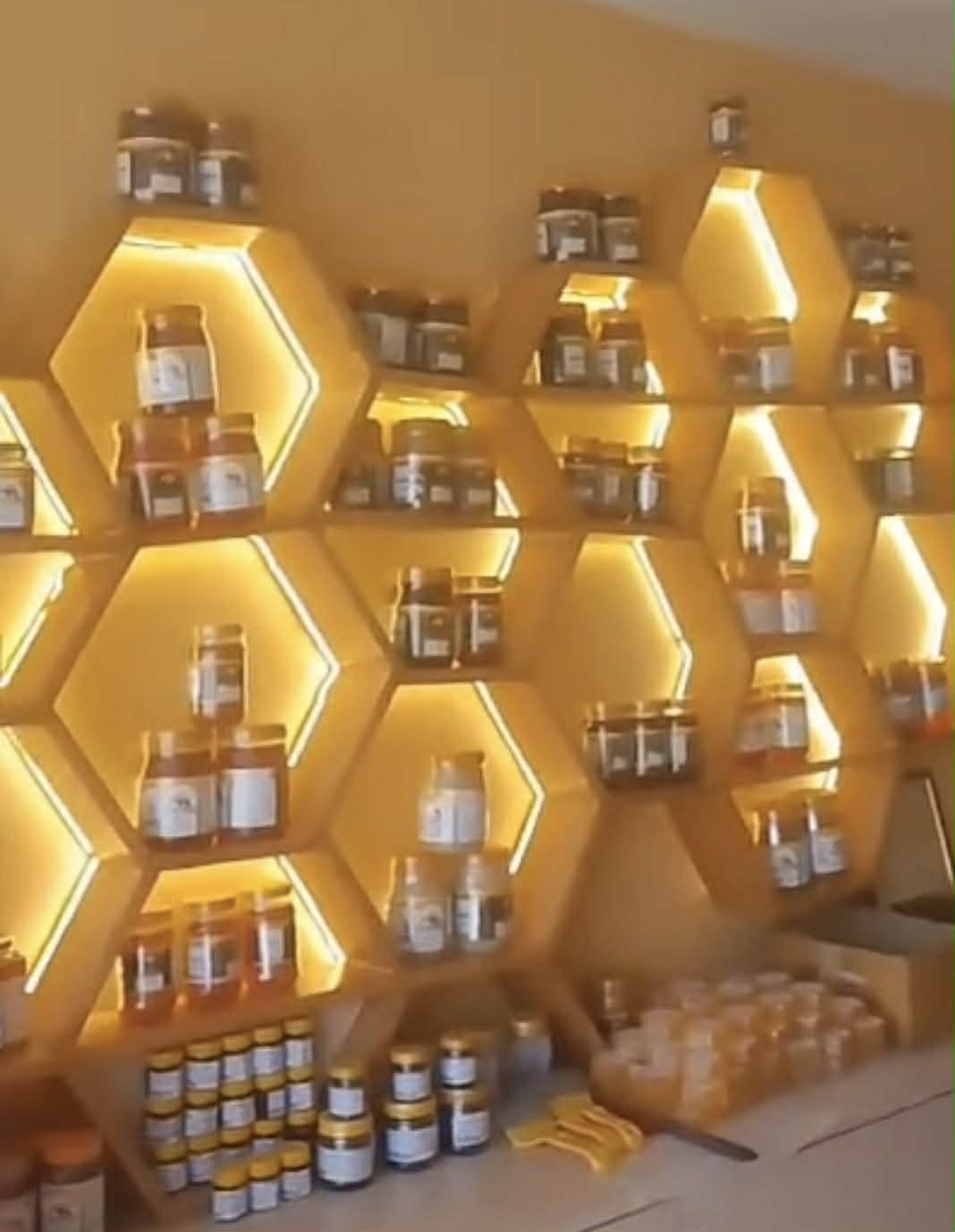 Beekeeping in Nepal